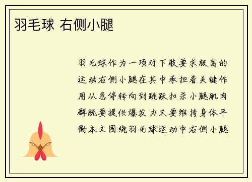羽毛球 右侧小腿