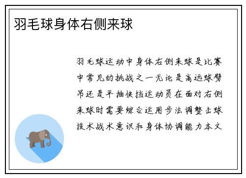羽毛球身体右侧来球